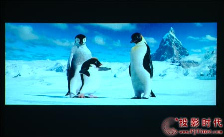 c(din)ŴNEC VT48+ͶӰC(j)ΑͿͨp