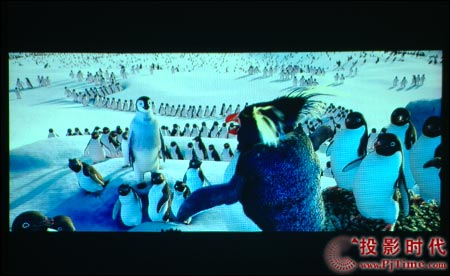 c(din)ŴNEC VT48+ͶӰC(j)ΑͿͨp