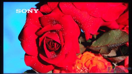 BRAVIAݳ u40XŞҺTV