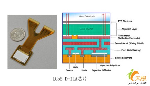 �c���Ŵ�ˈDƬ