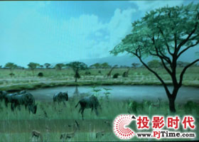點(diǎn)擊放大