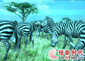 點(diǎn)擊放大