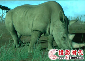 點(diǎn)擊放大