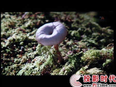 點(diǎn)擊放大,三星LED投影機(jī)SP-P310ME
