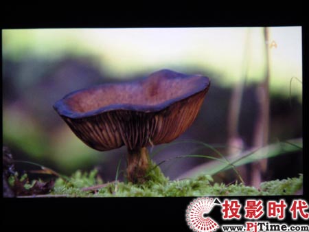 點(diǎn)擊放大,三星LED投影機(jī)SP-P310ME