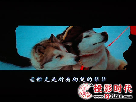 cŴWDa1080pͶӰCHD803 DVDЧ