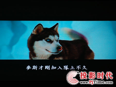 cŴWDa1080pͶӰCHD803 DVDЧ
