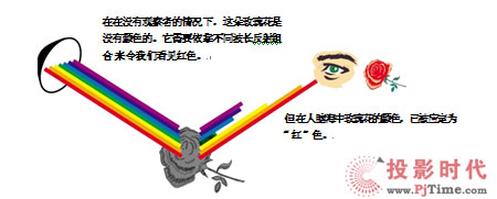 ͬL