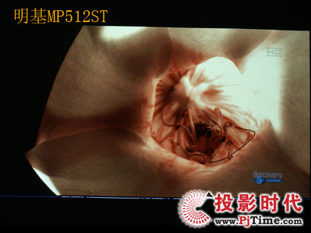 cŴMP512STXҕlЧPK
