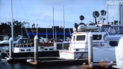 GX352GX50AƷҺu(png)