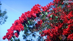 GX352GX50AƷҺu(png)