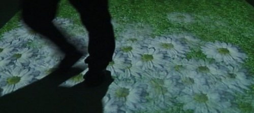 ɫƵ滥ͶӰϵy(tng)