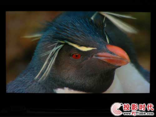 WSM65-B21BCNҺҕ PS3ӰpΑw(yn)
