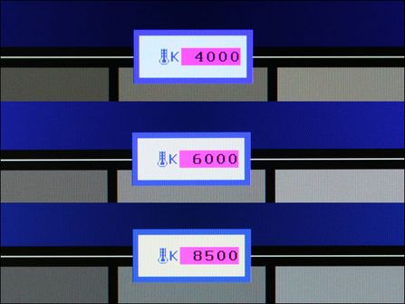 ˇ׿XҺEIZOFlexScanSX3031Wu(png)y(c)(3)
