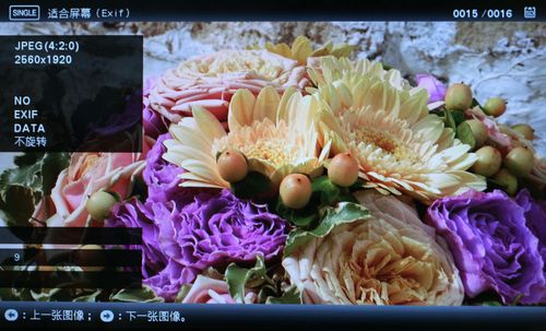 ᔵ(sh)aDPF-V1000