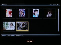 ᔵ(sh)aDPF-V1000