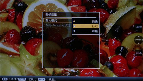 ᔵ(sh)aDPF-V1000