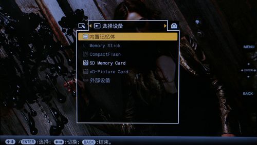 ᔵ(sh)aDPF-V1000