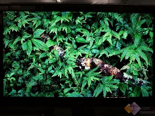 r(sh)Њʘ(j) L(zhng)iTV55820Һלy(c)
