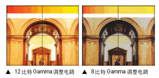 DLPg(sh)