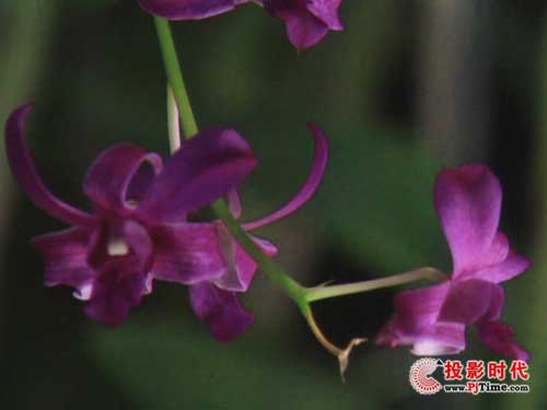 곞H5360ͶӰC(j)Xu(png)y(c)