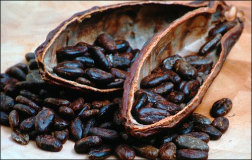 ������TW3500ͶӰ�C����