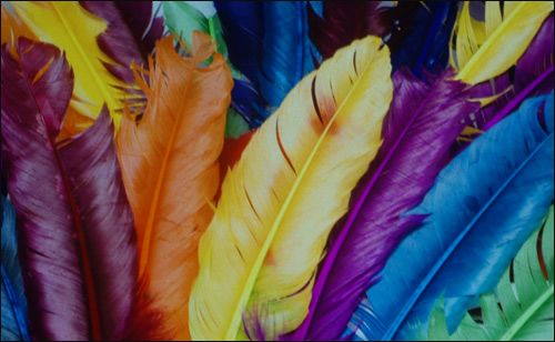 ������TW3500ͶӰ�C����