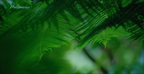 ������TW3500ͶӰ�C����