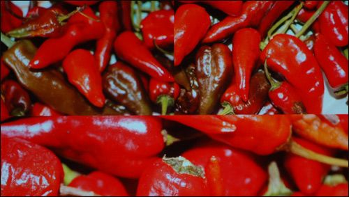 ������TW3500ͶӰ�C����