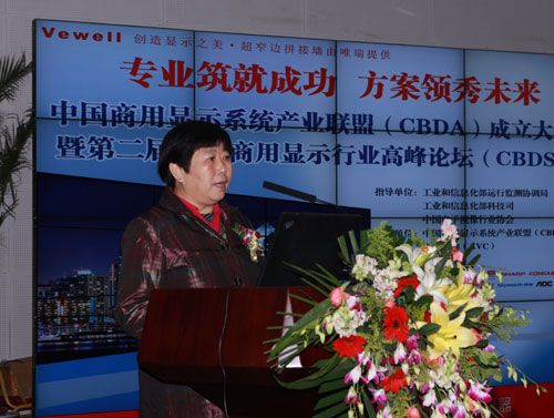 中國電子視像協(xié)會副會長兼秘書長白為民