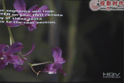 �y�}�����ɿ�ͶӰHQVҕ�l̎���l��(qi��ng)��