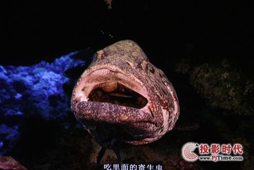 ���I(y��)����ҕ�l