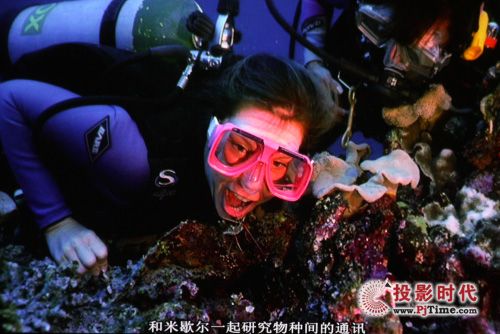 ���I(y��)����ҕ�l