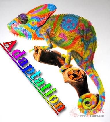 ֲʽD̎δ(li)l(f)չڅ(sh)