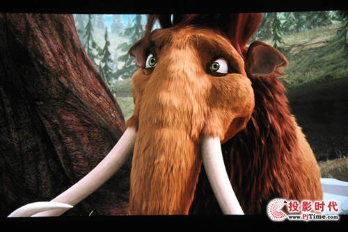 ���|(zh��)�����I(y��)���F(xi��n) �곞P7505��������ͶӰ�C(j��)�u(p��ng)�y(c��)