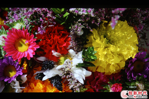 ����ҕIN8612�u(p��ng)�y(c��)�����o�B(t��i)�D�w�(y��n)