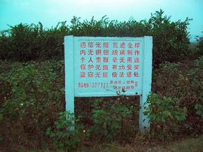 ҕcxҕ˜uƠҪֵX