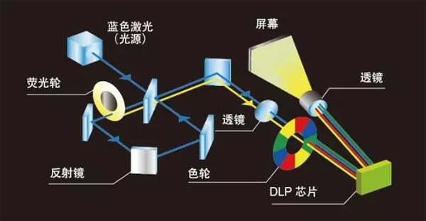 M(yng)DLP⹤̙C(j)TCP-WL6000U