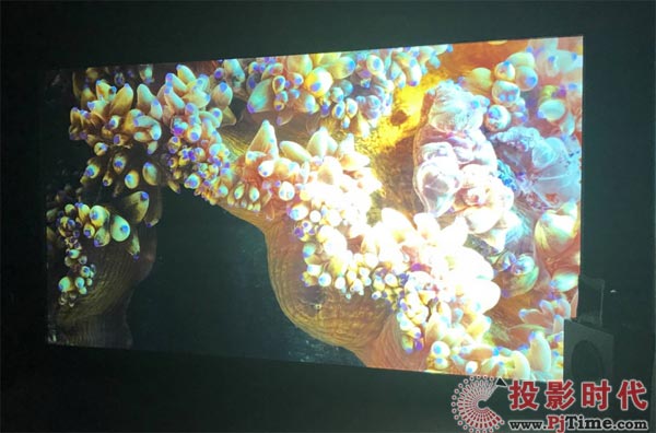 NEC 350004KpɫӳC(j)ث@BIRTV2017Ψһa(chn)Ʒ(jing)