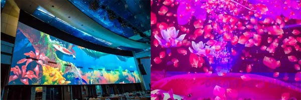 ��(��i)����CB-G7100�����㕳���(m��ng)������