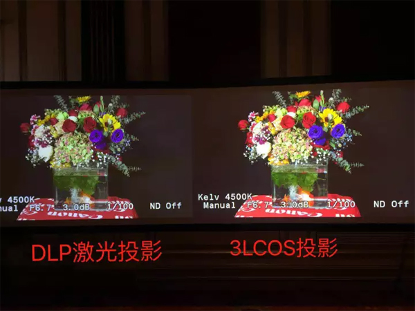 (chung)꿘I(y)2017ܹͶӰCչ[չʾИI(y)-ϺվAMY