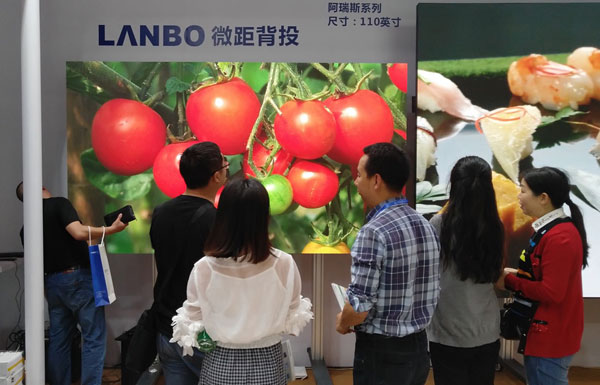 LANBO΢౳Ͷ¶xߴĻo(h)ۘ(bio)(zhn)