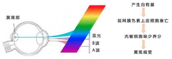 (c)˹gŵȣ҂(c)LED