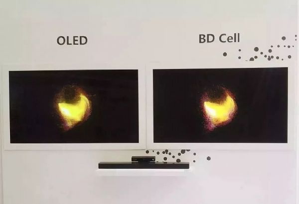 DISPLAY CHINA 2019���վ����^�m(x��)���M�F�^���������������Q(m��o)�䌦�F(xi��n)������