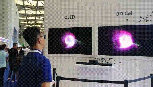 DISPLAY CHINA 2019���վ����^�m(x��)���M�F�^���������������Q(m��o)�䌦�F(xi��n)������