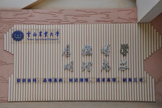NEC•`ϵнͶӰCMrԏጬF(xin)n