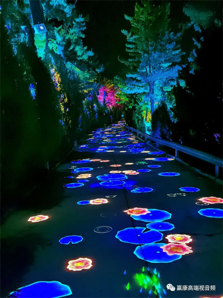 �A���Ƽ����c������ɽ����Ӱ��ˇ��������������L�u֮ҹ