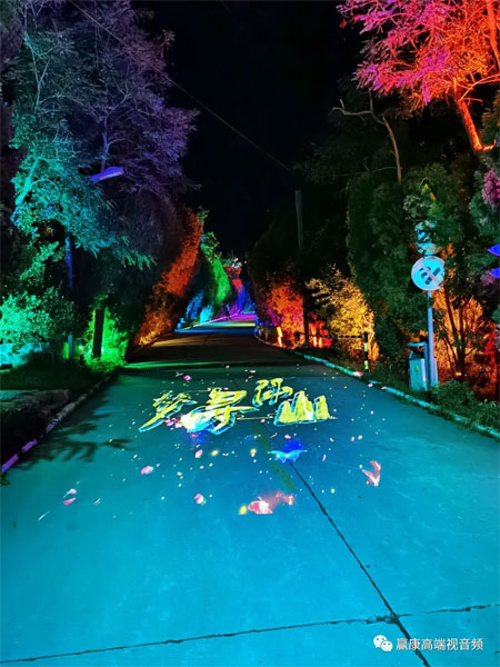 �A���Ƽ����c������ɽ����Ӱ��ˇ��������������L�u֮ҹ