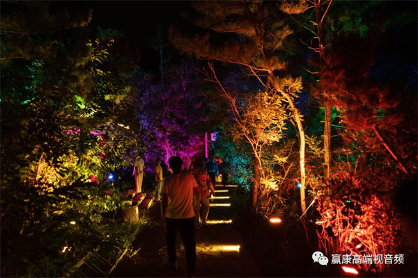 �A���Ƽ����c������ɽ����Ӱ��ˇ��������������L�u֮ҹ