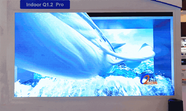 ����ֱ��������(qi��ng)���޲�ҕ�X(ju��)ʢ����������IFCչ��